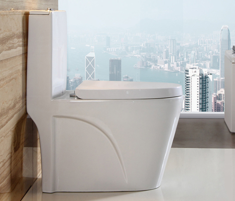 ซื้อ โถสุขภัณฑ์แบบชิ้นเดียวพร้อมระบบ Dual-Flush และถังเก็บน้ำเซรามิก การผลิตออนไลน์