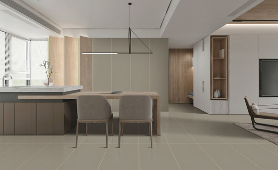 ซื้อ กระเบื้องพื้น Porcelain สําหรับห้องนอน 60x120cm สีดวงดาว SGS การผลิตออนไลน์