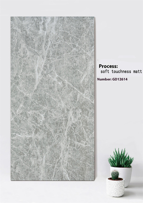 ซื้อ สีเทาอ่อน มาร์บูล ดูทนต่อรอยขีดข่วน 600x1200mm ความอ่อนโยน ความสัมผัส แมท การผลิตออนไลน์