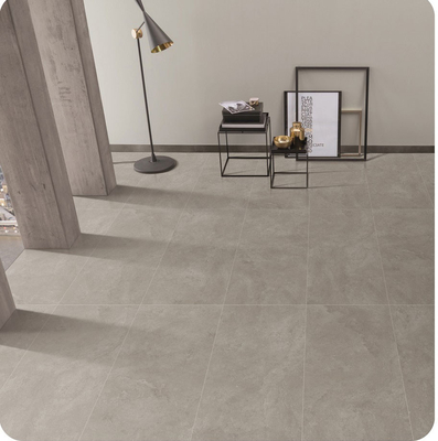 W.A 0.5% สีเทา 600x1200mm ดินภายนอกหน้าเด็ก กระเบื้อง Porcelain Retro กระจกสําหรับโครงการ